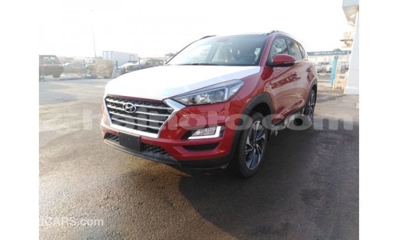 Acheter Import Voiture Hyundai Tucson Rouge à Import - Dubai, Artibonite Acheter Import Voiture Hyundai Tucson Rouge à Import - Dubai, Artibonite