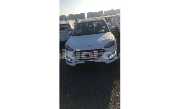 Acheter Import Voiture Hyundai Tucson Blanc à Import - Dubai, Artibonite Acheter Import Voiture Hyundai Tucson Blanc à Import - Dubai, Artibonite