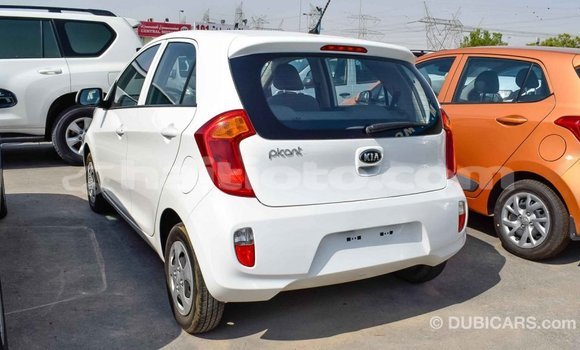 Acheter Import Voiture Kia Picanto Blanc à Import - Dubai, Artibonite Acheter Import Voiture Kia Picanto Blanc à Import - Dubai, Artibonite