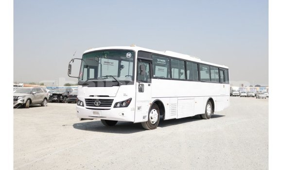 Acheter Import Voiture Tata Xenon Blanc à Import - Dubai, Artibonite